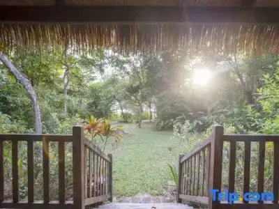 Mango Bay Resort - 265