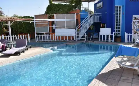 Bedouin Garden Village, Dive - 13