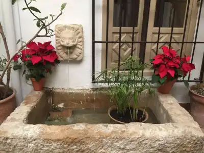 Los Patios - 14