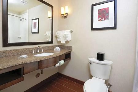 Hilton Garden Inn Greensboro Airport - 139
