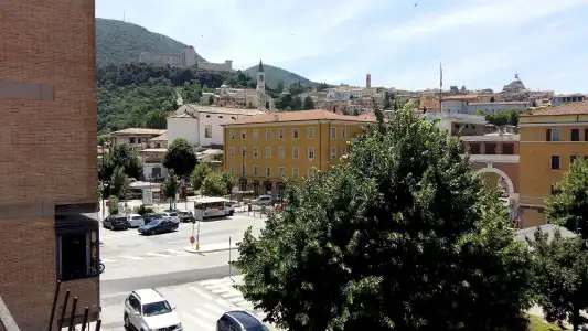 Clarici - 14