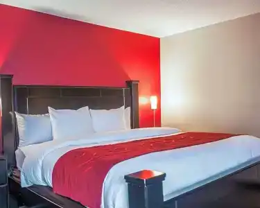 Comfort Suites Nashville Airport - BNA - 41