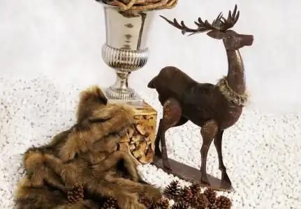 Chasa Sulai - 56
