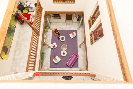 White Nest - 6