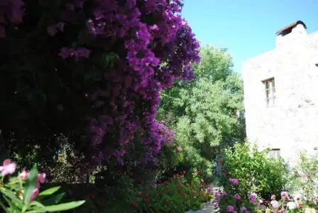 Eski Datca Pansiyon Cafe - 40