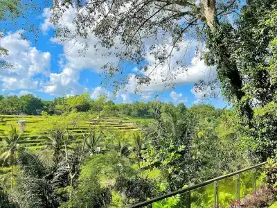 Permata Ayung Private Estate - Adults Only - 59