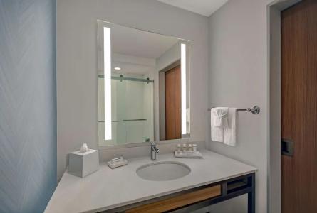 Hilton Garden Inn Houston Medical Center, TX - 36