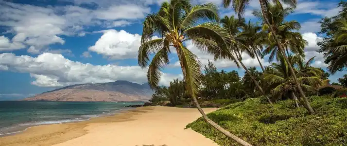 Maui Coast - 23