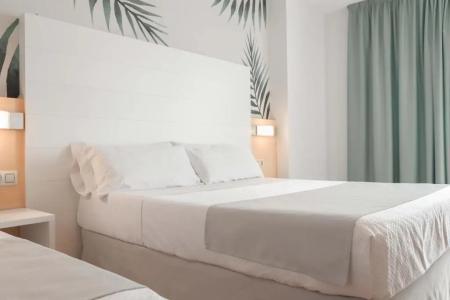 Alegria Florida - 28