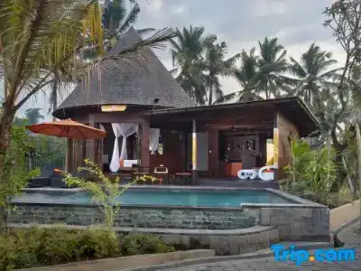 Green Field Resort - 159