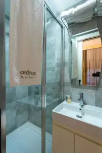 Cedrus - 125
