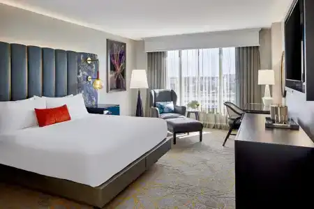 Grand Bohemian Orlando, Autograph Collection - 31