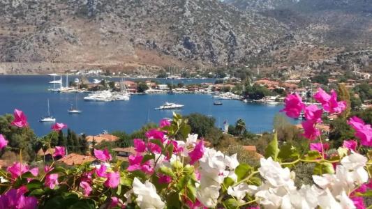 Masal Tatil Evi - 33