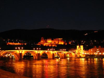 Wohlfühl-Neu Heidelberg - 15