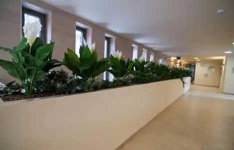 Corvin Center Suites - 14