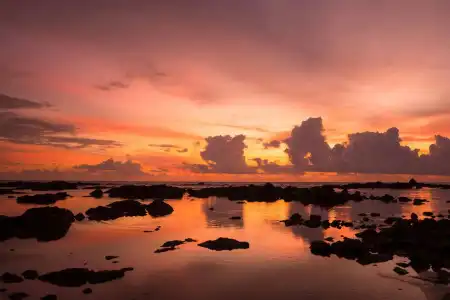 Monkey Dive Hostel Khaolak - 17