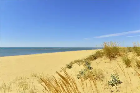 Leo Jardines de Isla Canela - 9