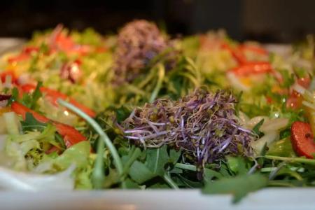 Caprici Beach & Spa - 13