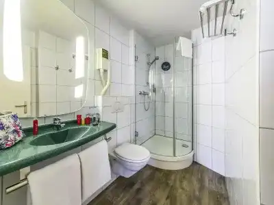 ibis Lausanne Crissier - 63