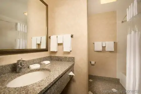 Drury Inn & Suites Greenville - 5