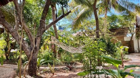 Atii Garden Bungalows - 6