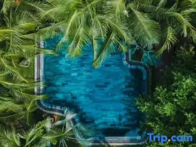 M Village Phu Quoc - 61