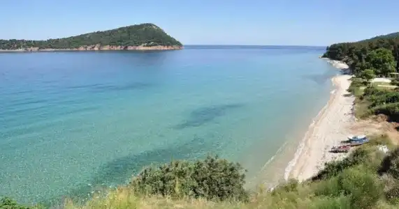 Agorastos - 8