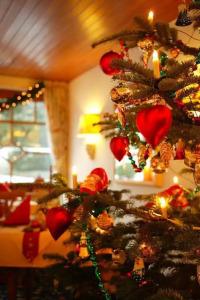 Behringer's Traube - 13