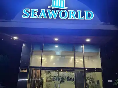 Seaworld - 15