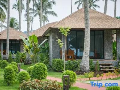 Medee Resort - 45