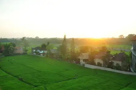 The Evitel Resort Ubud - 24