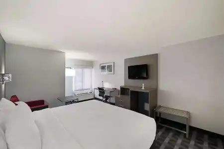 Quality Inn & Suites Irving DFW Airport South - 53
