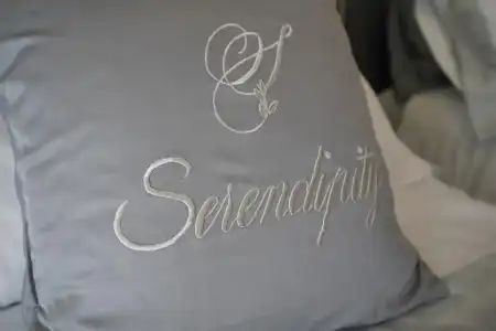 Serendipity B&B - 75