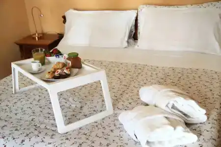 Jardin de France - 99