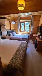 Ayder Doga Resort - 59