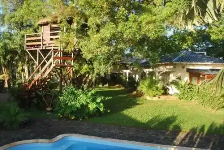 Tree Lodge Mauritius - 1