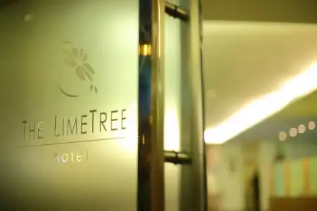 The LimeTree - 42