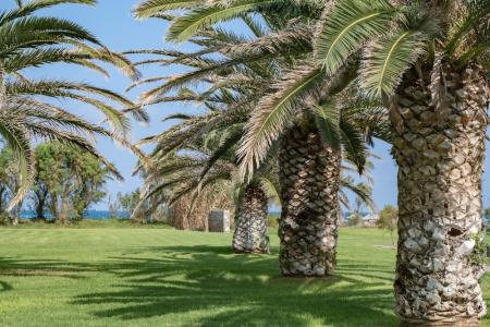 Agapi Beach Resort - Premium All Inclusive - 66
