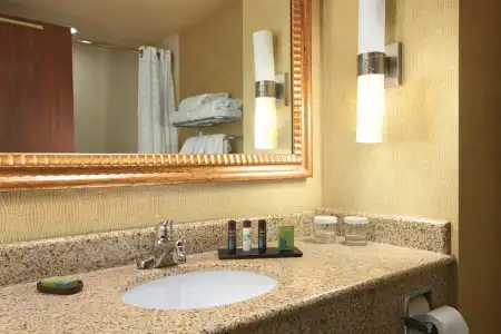 Embassy Suites by Hilton E Peoria Riverfront Conf Center - 7