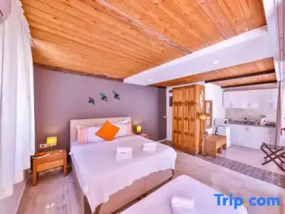 Durupduru Kaş - 65