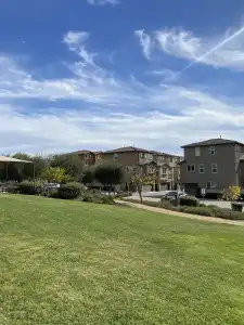 Olive Glen - 1