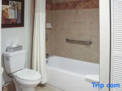 Polynesian Isles Resort By Diamond Resorts - 154