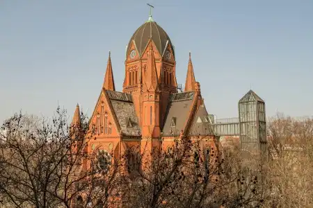 Homaris Kreuzberg 61 - 0