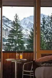 and Spa Silberhorn - 83