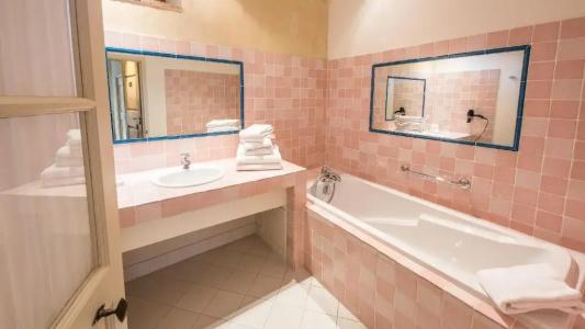 Le Champ des Oiseaux Hôtel & Spa 4* - 87