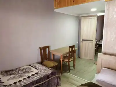 Nino Ratiani's Guesthouse - 11