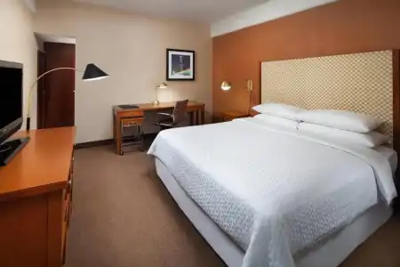 Four Points by Sheraton Los Angeles International Airport (USA) - 41