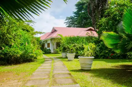 Villa Rafia - 17