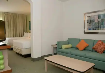 Springhill Suites By Marriott Las Cruces - 19