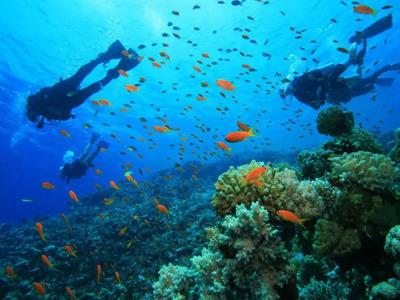 Golden Bungalows - 11